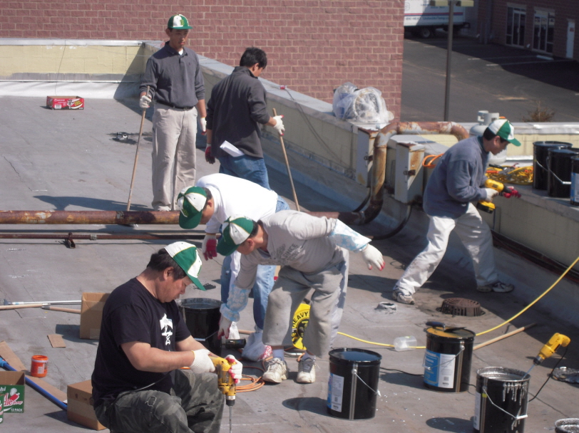 Resized_va roof 011.jpg